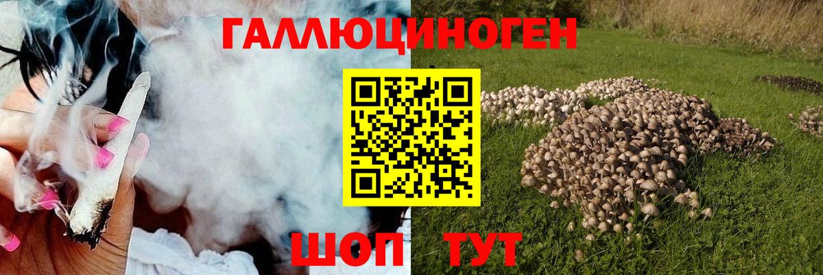 Серов  Галлюциногенные грибы мухоморы  Псилоцибиновые грибы ЛСД  Вход с VPN 